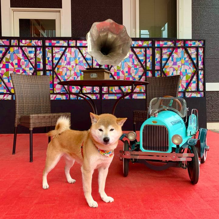 Fc7db122 5969 418e a4ae 360d7aefe2c5 1615191770819