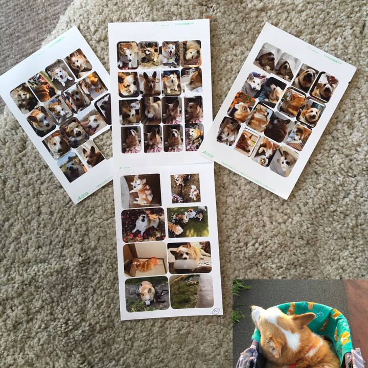 Fc7dd459 5b43 4a53 8fe4 7fc39bb5f0a7 1565395038573