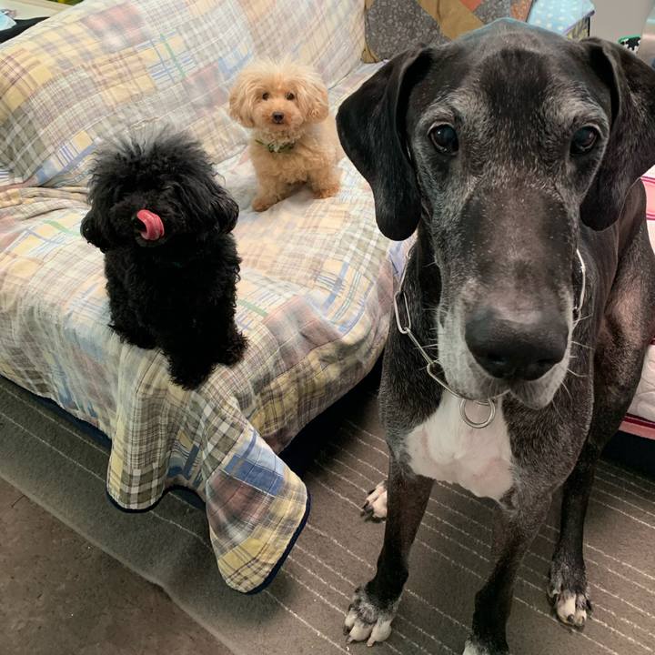 Fc7df27a dd09 43f1 bf77 b8f492be42db 1601419887000