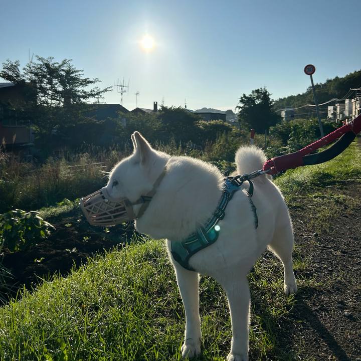 Fc7df592 a992 4d41 837d b331f8f91d30 1724882245818