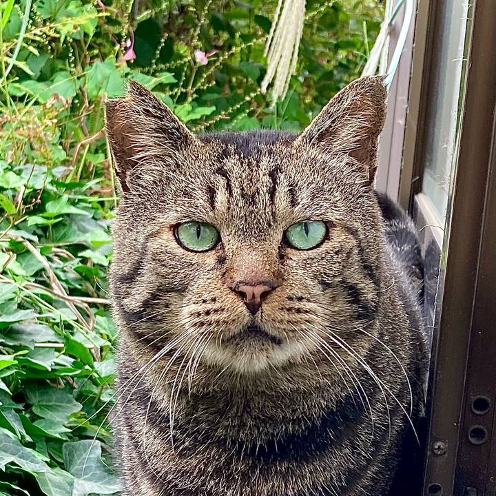 Fc7e0849 0de1 4357 b810 b2273a268c62 1665556048605