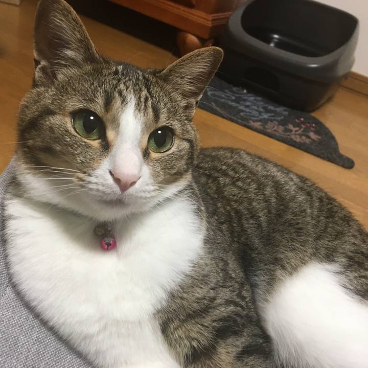 Fc7e1997 6d76 4f4b aacf f2819db16dc7 1699004772838