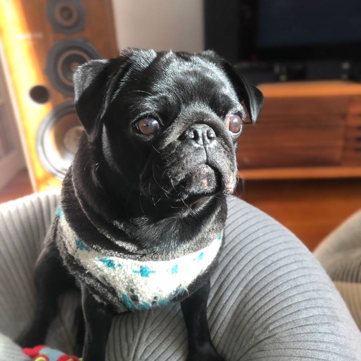 Fc7e5a6b 58a5 45cf 8c9f 50c1956b08b5 1612913875672