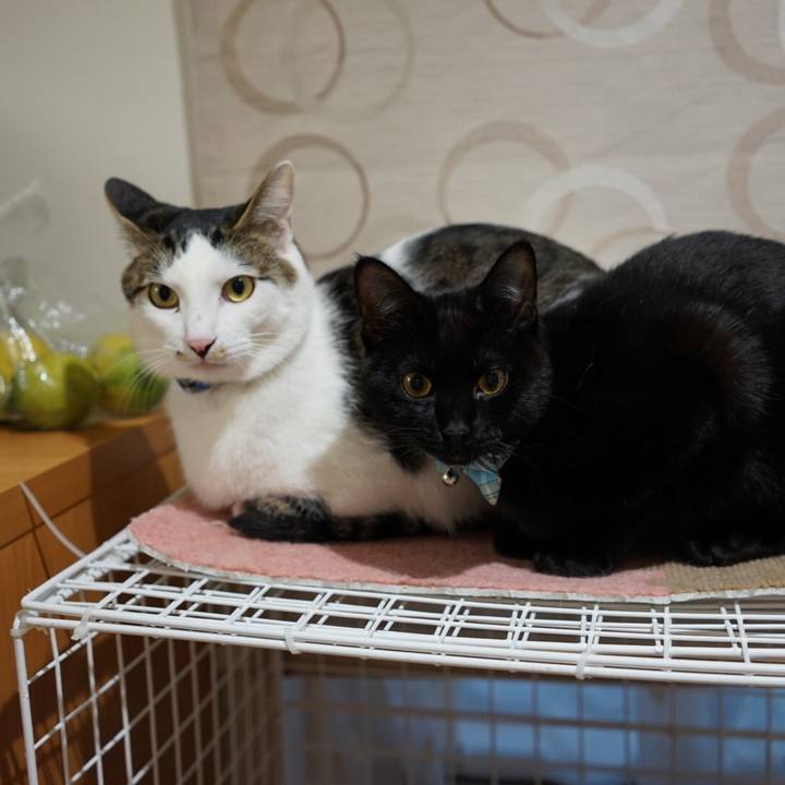 Fc7e5f21 1fde 476f 9e77 4dbf42ff7c1e 1512947985564