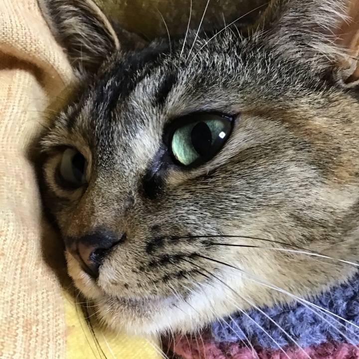 Fc7e9881 8415 4617 960f 19d520c6aa83 1620038826414