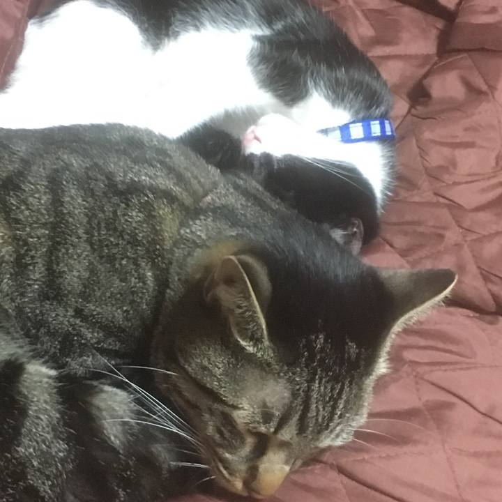 Fc7eba56 fbd7 489e 92ba 3410f95869f7 1508676973951