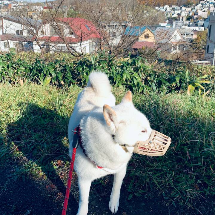 Fc7ee52e a726 4068 ac83 787ec2627c3f 1636677794626