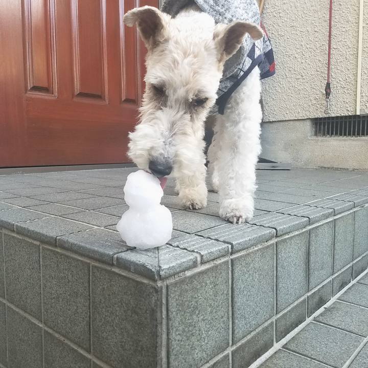 Fc7f34c1 54f5 43f2 b468 38049ce6a631 1548590084114