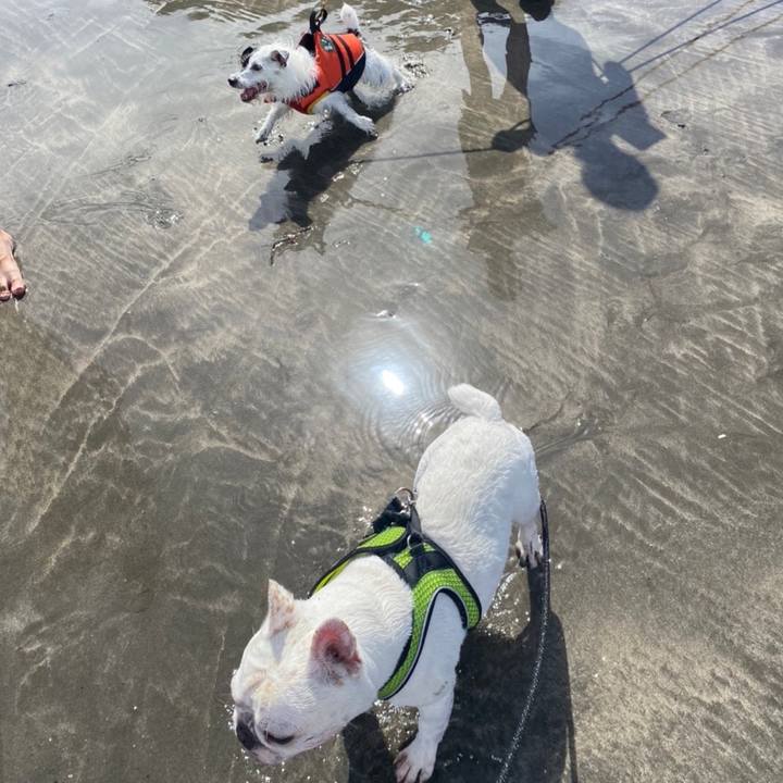 Fc7f3649 9d56 46cb 87d8 a2f78e448511 1660313652181