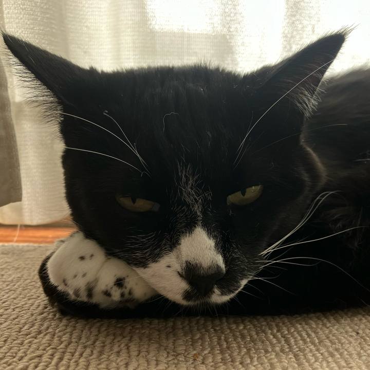 Fc7fb044 1cb3 456b b076 534d81f5cc90 1751944446582