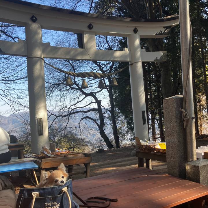 Fc7fb058 9d24 42de 97f4 4417dd6c21b9 1771150756400