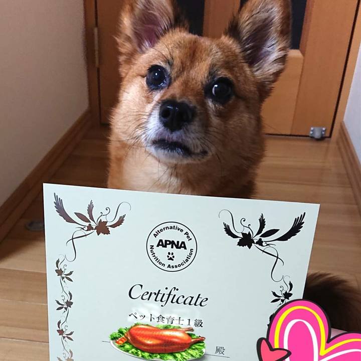 Fc7fe081 3a5a 4562 a473 386499c2c0f0 1570964254696