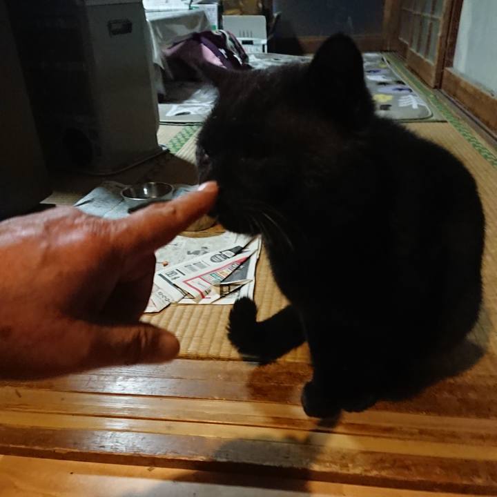 Fc805191 58e1 484b 8b8f 3ce18db80edb 1619608560732