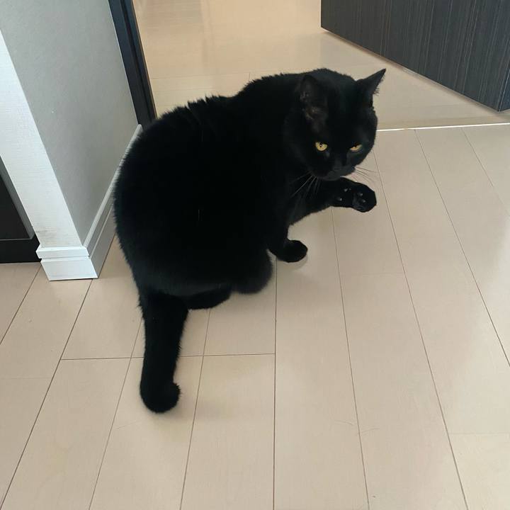 Fc806cde e718 44bc abe1 93fee37ff709 1741573891820