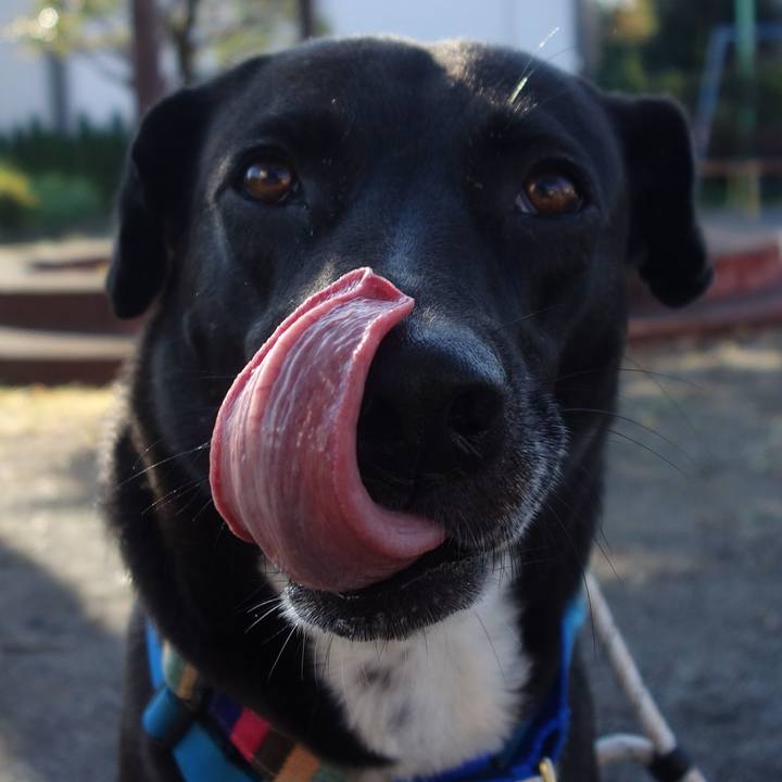 Fc80743f ee3d 4dad 9133 57f5be91064f 1635902763021