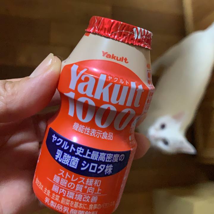 Fc80aa3a 7da0 42a5 91ba 34fb0b8dbad5 1668091164465