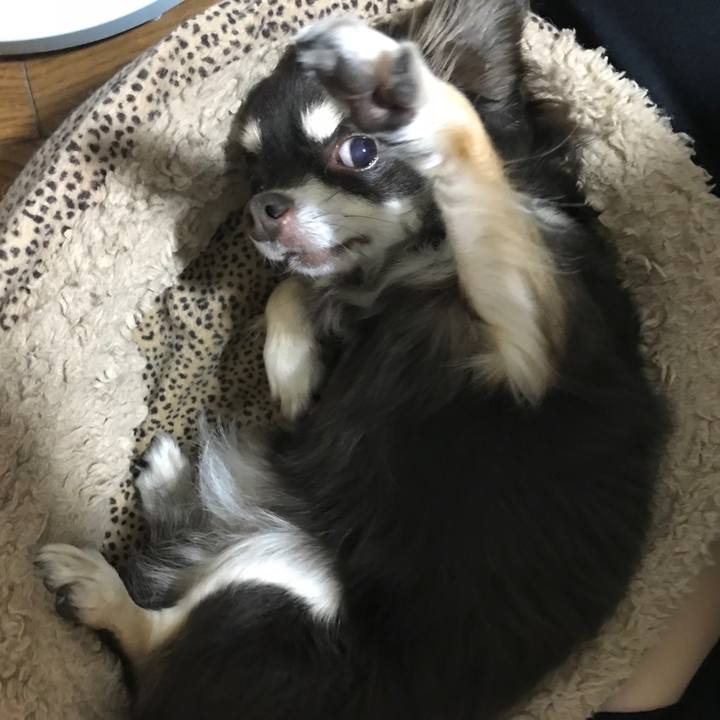 Fc80c128 c669 460e b6a6 36fc9307a332 1539174731256