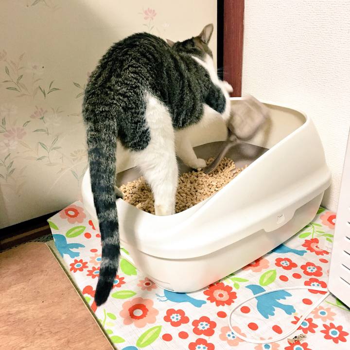 Fc80cc7b a6bd 407b afd1 298c85cf2952 1522541888505