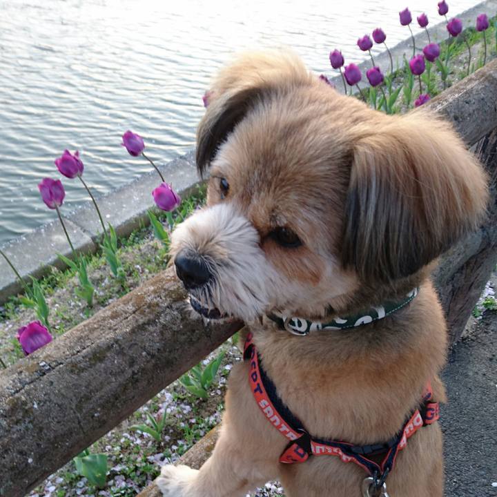 Fc80d941 f294 4bb9 b2d4 a9c450179d5f 1522666318467