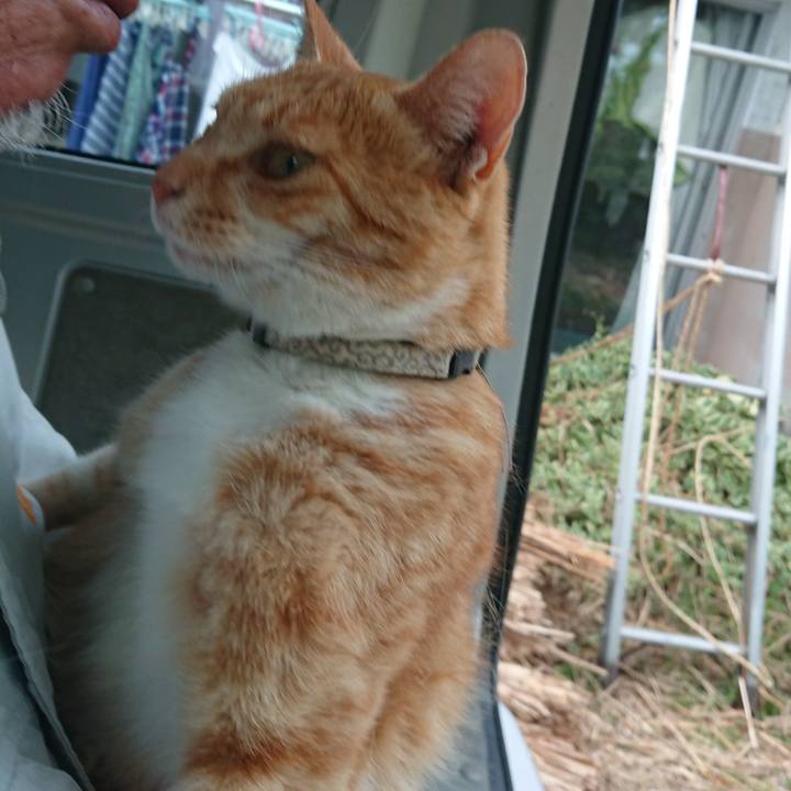 Fc811b2f 569a 4300 9852 a731f32b9d3c 1592557591886