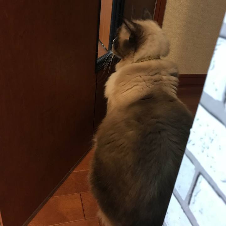 Fc815008 9057 4f90 b815 304353f43f4a 1512050945565