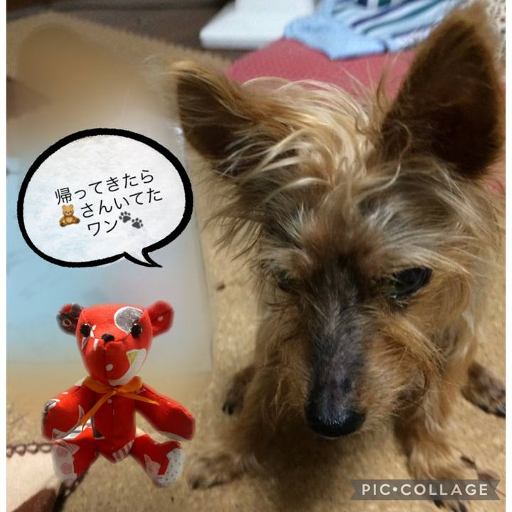 Fc81554c 0acd 4d71 9295 6cadece853f7 1644484571625