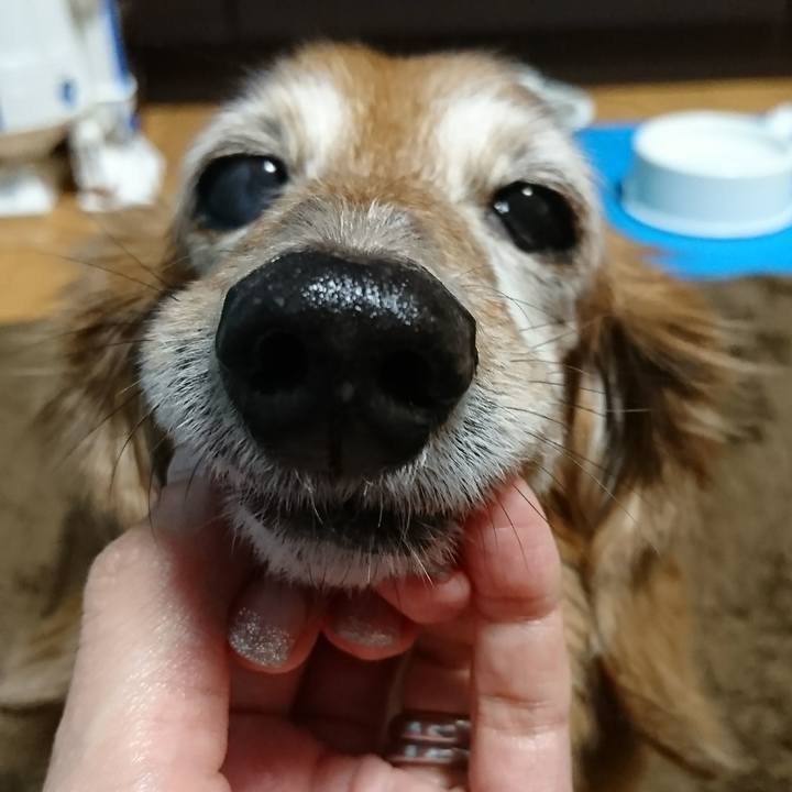 Fc81561e 8d41 455a 965c 843765f4e788 1514262998514