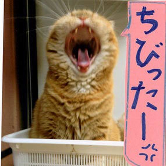 Fc817114 4396 4ac4 baab 365047151d69 1544581905530