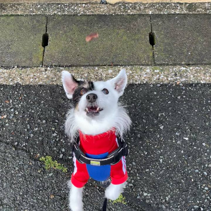 Fc8180e3 85fc 43bd 9fe1 46ea7e961880 1748129691451