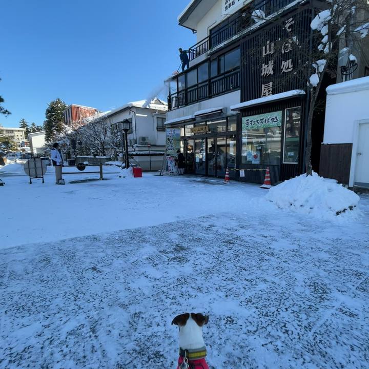 Fc818bf1 b6cd 4049 8fab 44f6f0ebbf2f 1642836730468