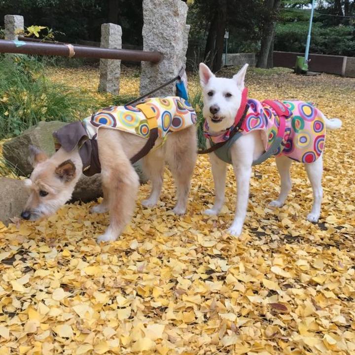 Fc81afa1 73f0 49b3 8886 cdab3002691d 1761967207914