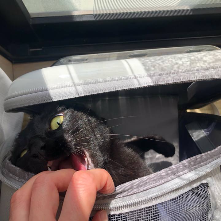 Fc81ba1b 5684 4358 b299 d2ef2a9b2c8e 1622628965552