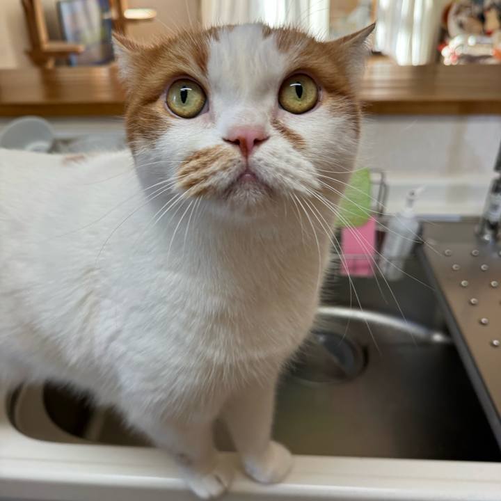 Fc82675f 18c9 4410 ae86 57fb2d3bccda 1768183789088