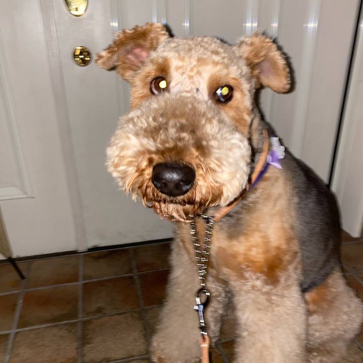 Fc828574 c0a5 495d a081 147e15e70dc3 1617013383879