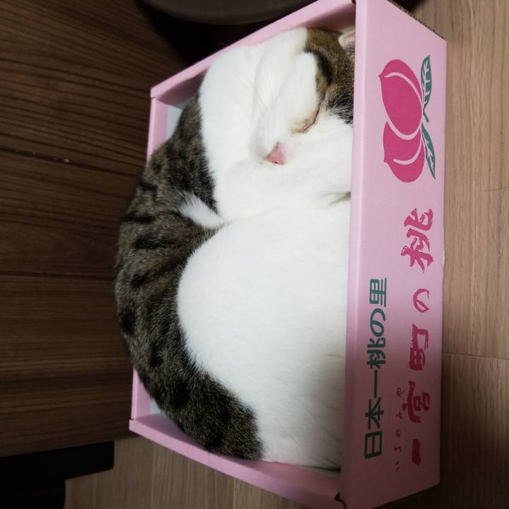 Fc8291bd cdc7 4ad8 b72b a7a64a4008bf 1597063201958