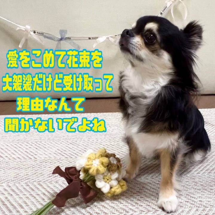 Fc82959d 2e25 4b07 8bf2 180daa838136 1688712886167