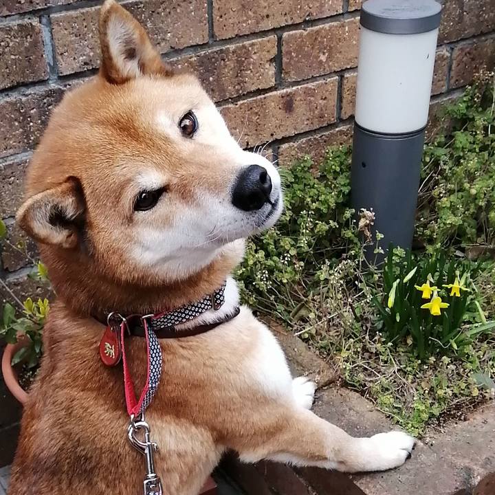 Fc829c4b 34a3 4cc8 81ea 8b34e71c9331 1582938493765