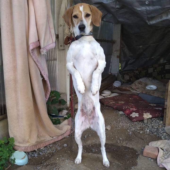 Fc82eade 5e2c 44ae 946b e7ba3b58b7cd 1651716249794