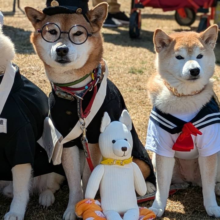 Fc830d9d eabf 4dd9 baec 201c8bd6dec3 1741616807372