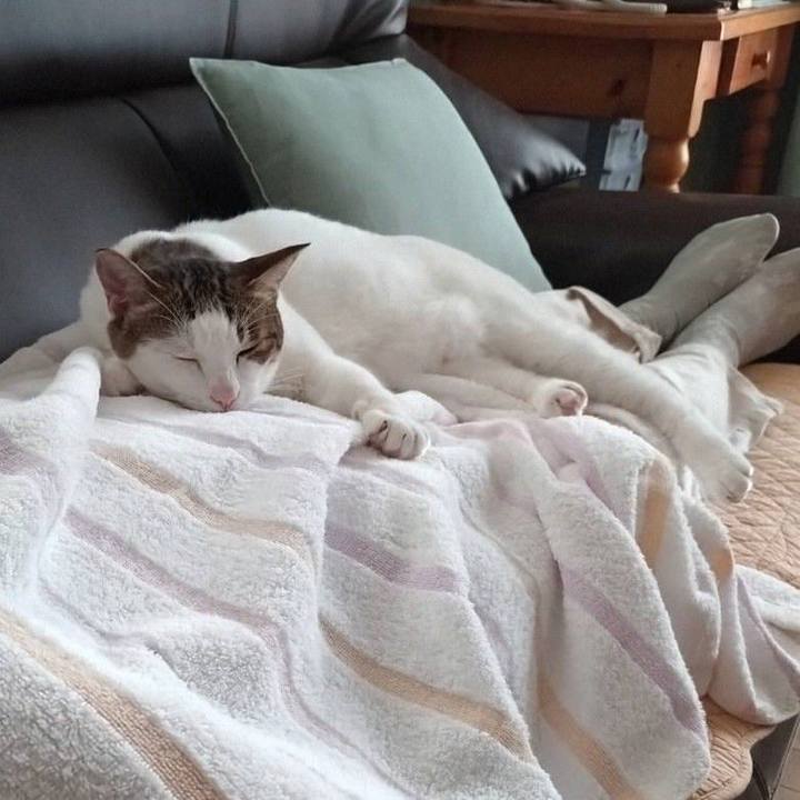 Fc83481f 16d6 4454 9776 2ebc3e83783b 1754723753668