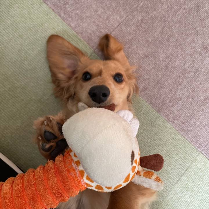 Fc835045 9456 4887 93a5 f68545cf480d 1683694470756