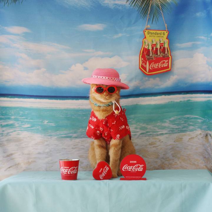 Fc83552e 6629 4951 a418 6c8c8c86c8e0 1755590087874