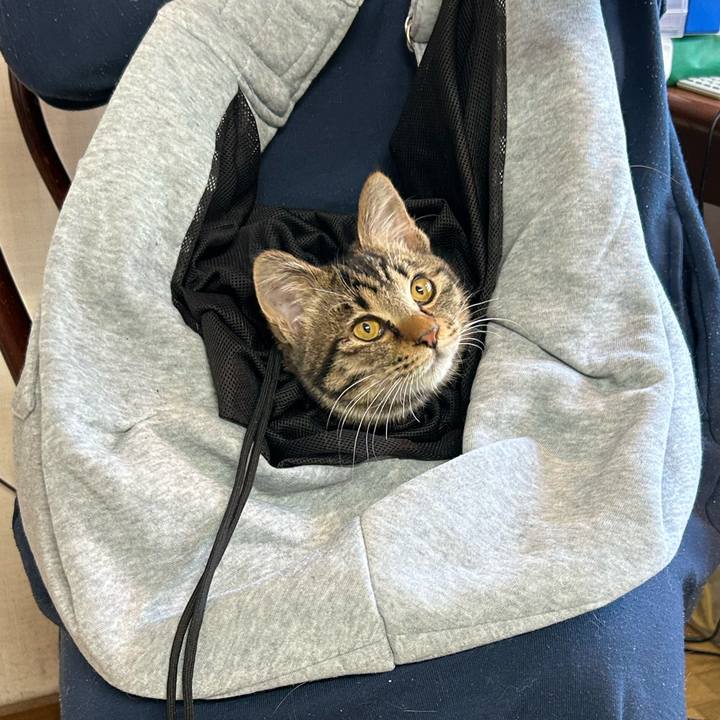 Fc8359c6 a081 4727 bba0 07b62bb5eb42 1733536429597