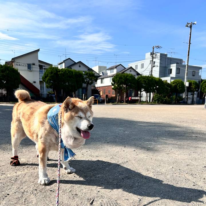 Fc836062 e3de 4a2c 9f92 9695e658d444 1754349661938