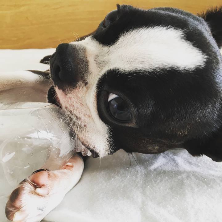 Fc839694 5ed5 4733 a221 0130ce8583f0 1525829780349