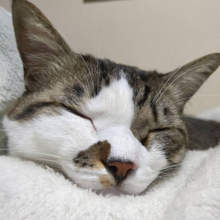 Fc83f111 6377 4c03 b187 33333e4d94df 1674378431883