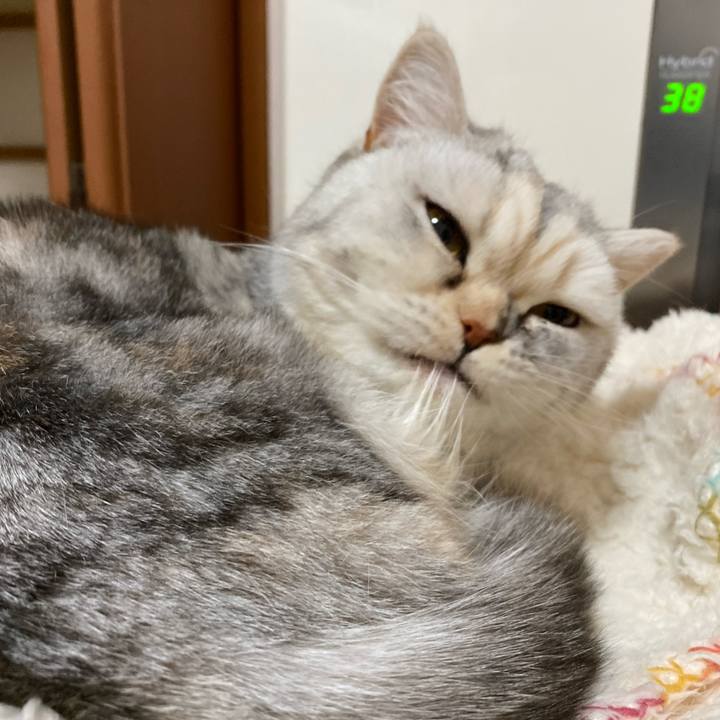 Fc840d6a 6fe0 48a0 a384 33a270b4dd13 1739881818386