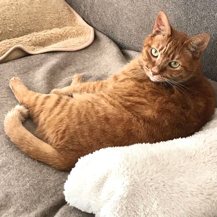 Fc842a1c b8e9 4f0b 9c87 7abfc513c0b6 1610249151512