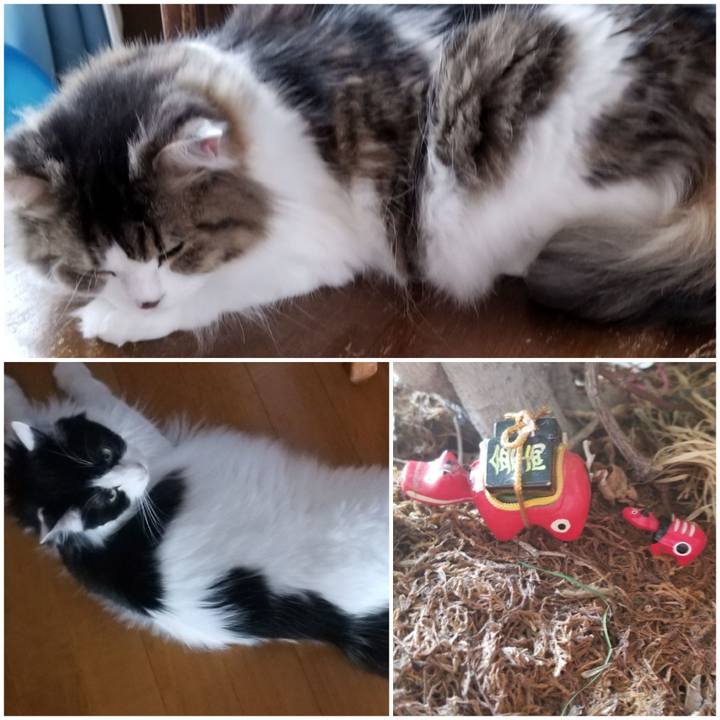 Fc849a03 792b 40e2 8198 b8f95beef209 1565733516553