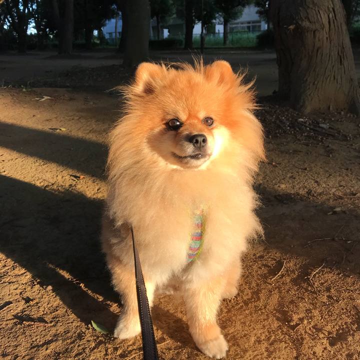 Fc857a46 1539 4614 aa20 a3fd188748d2 1530587354994